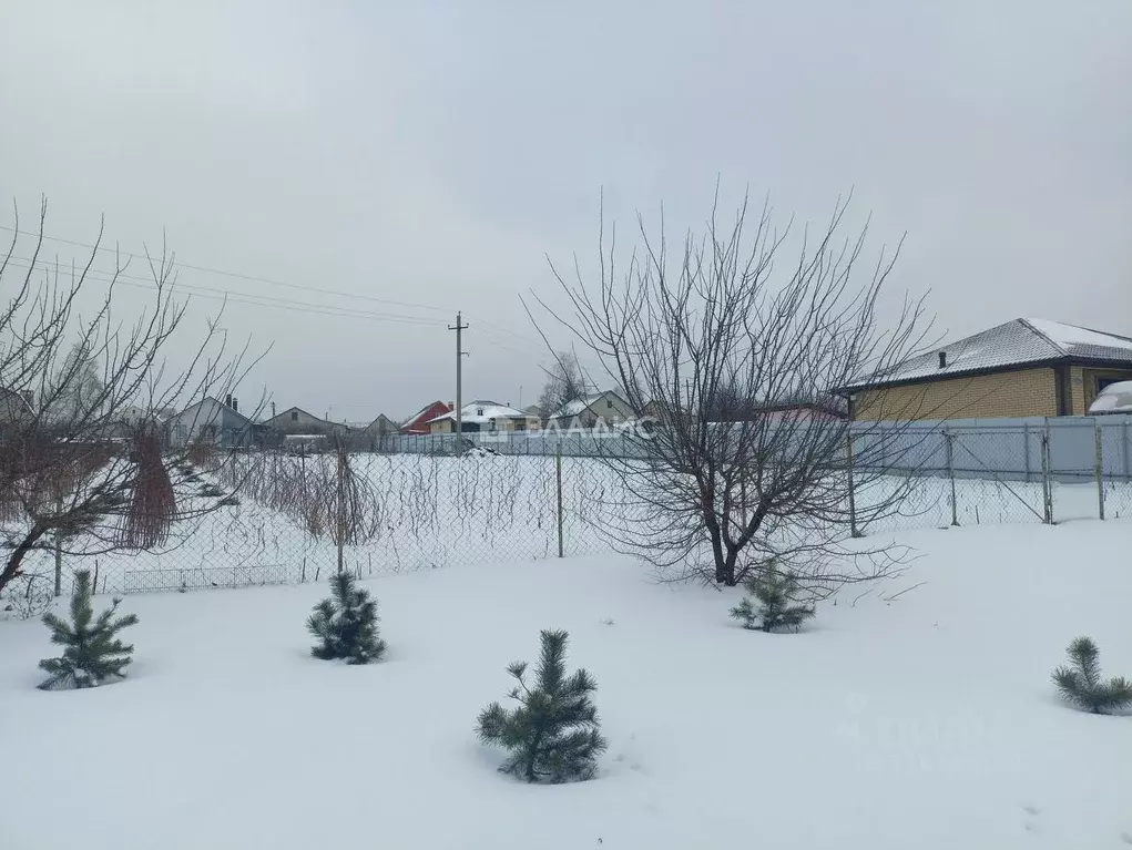 Участок в Белгородская область, Белгородский район, с. Стрелецкое, ... - Фото 2