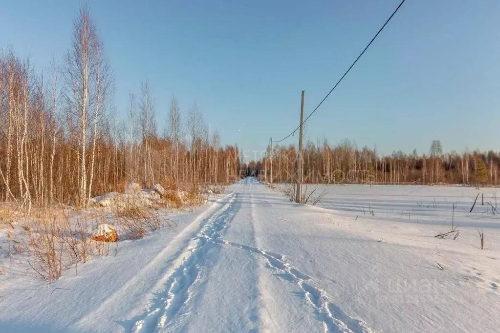 Участок в Тюменская область, Нижнетавдинский район, Душевное садовое ... - Фото 1