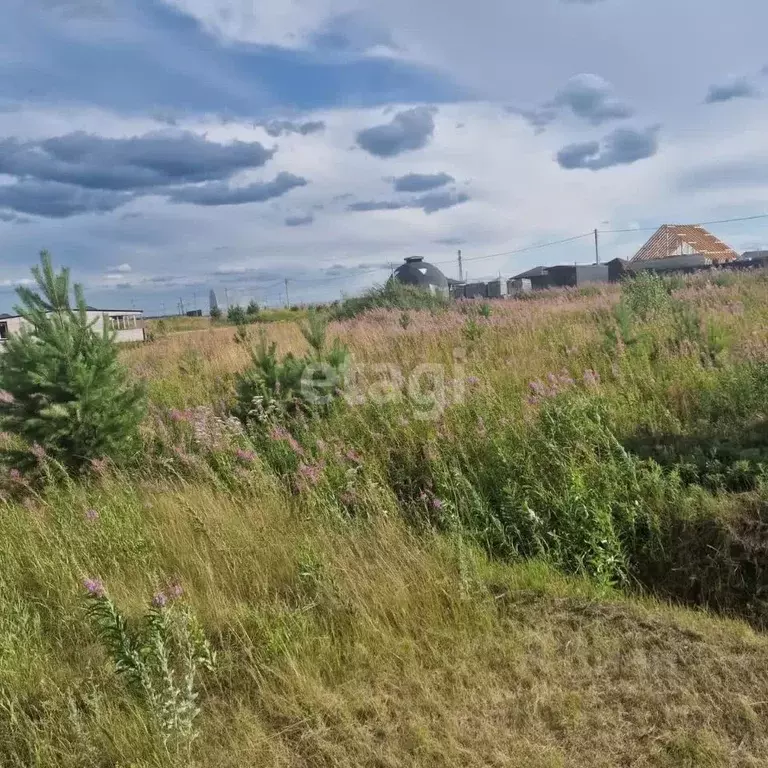 Участок в Тюменская область, Тюменский муниципальный округ, д. Елань ... - Фото 1