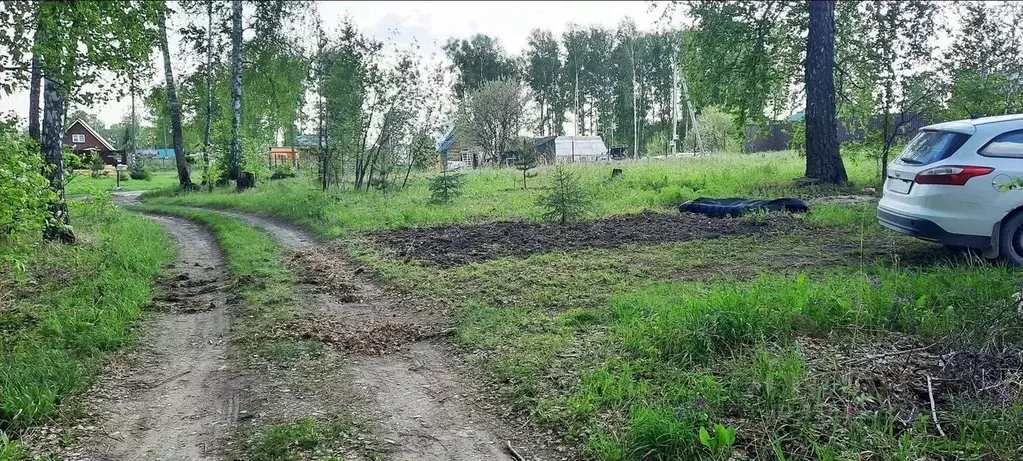 Участок в Новосибирская область, Новосибирский район, Барышевский ... - Фото 2