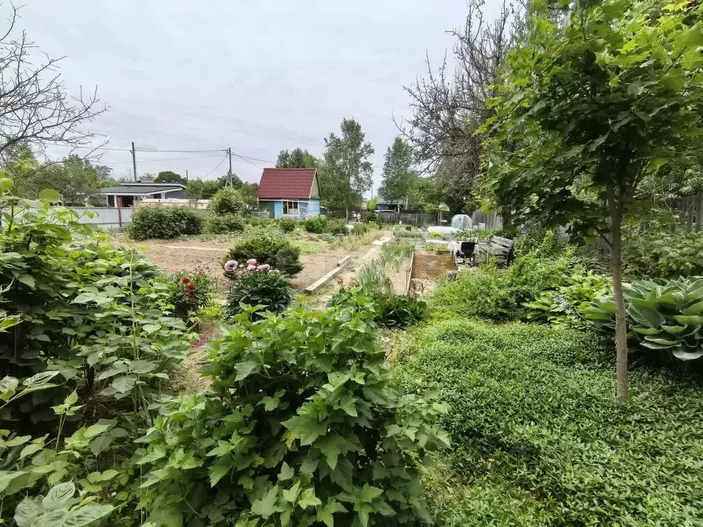 Участок в Сахалинская область, Южно-Сахалинск Картонажник СТ, 19 (8.5 ... - Фото 1