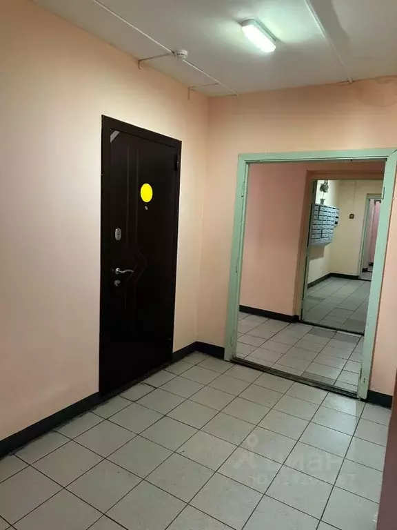 Студия Московская область, Солнечногорск городской округ, Андреевка ... - Фото 2