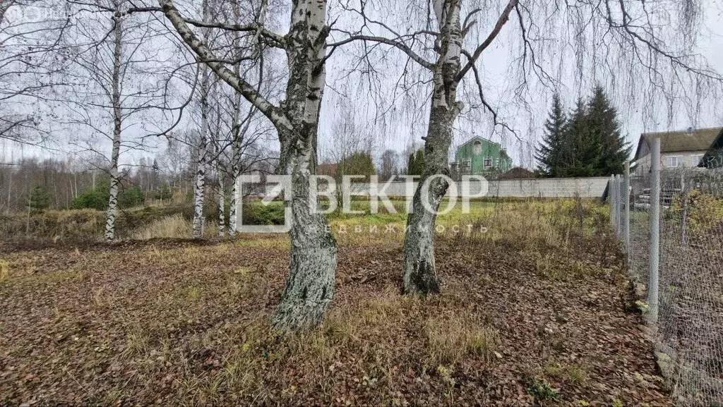 Участок в Ярославская область, рабочий посёлок Некрасовское, Советская ... - Фото 2