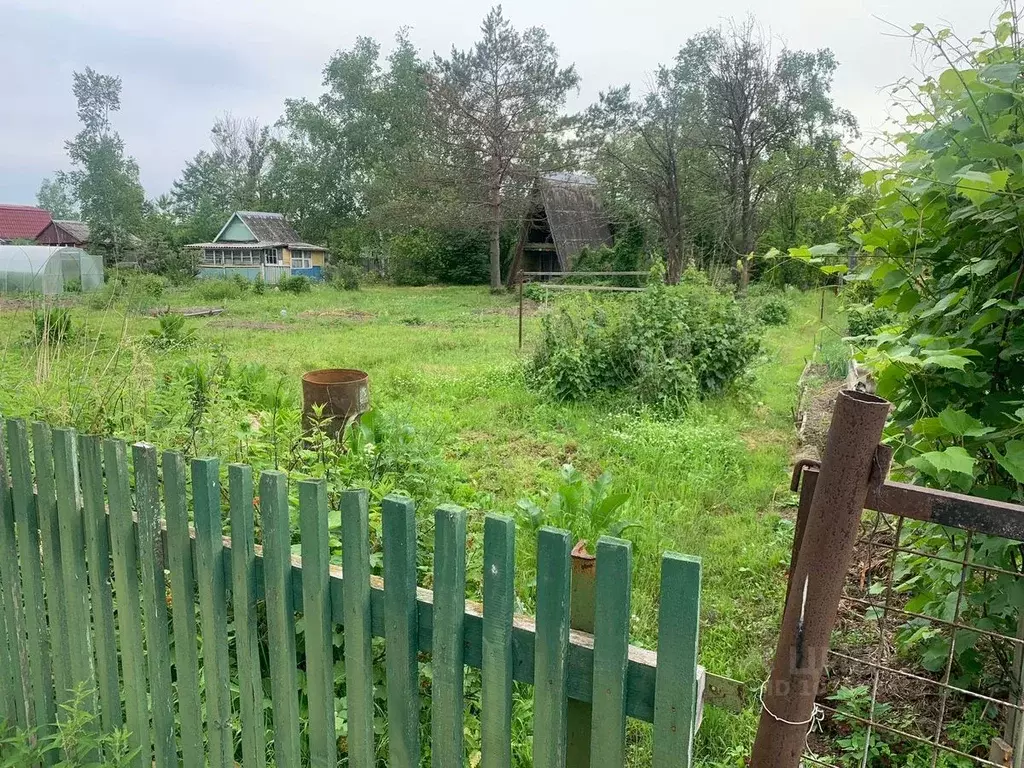 Дом в Хабаровский край, Хабаровский район, Мелиоратор СНТ  (20 м) - Фото 1