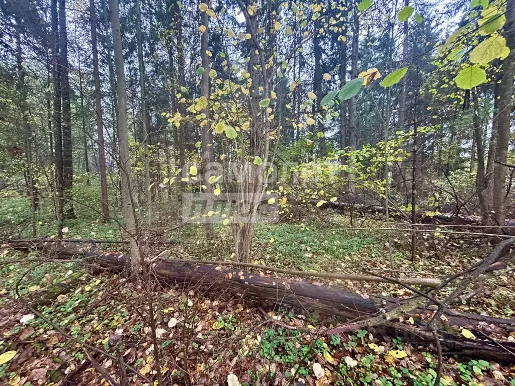Участок в Московская область, Одинцовский городской округ, с. ... - Фото 0