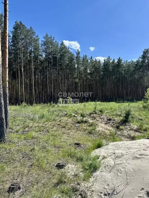 Участок в Нижегородская область, Нижний Новгород ул. Александра ... - Фото 2