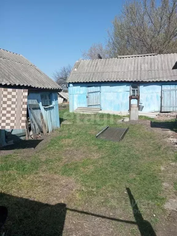 Дом в Белгородская область, Алексеевский городской округ, с. Кущино ... - Фото 0