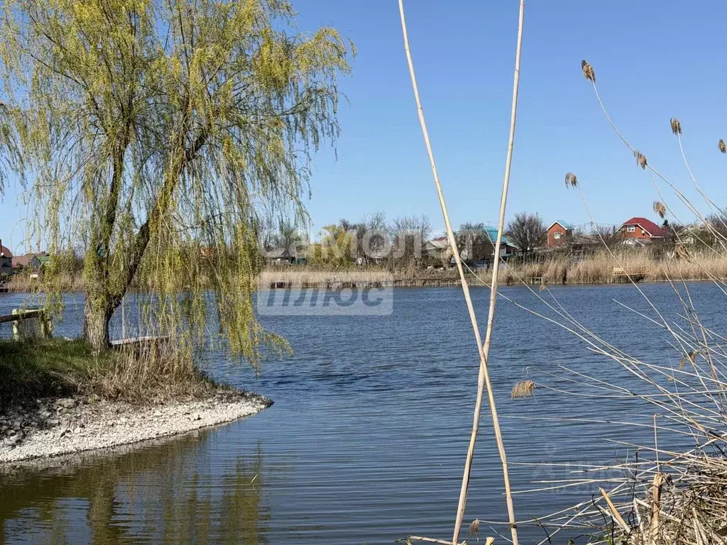 Участок в Краснодарский край, Тимашевск ул. Крупской, 6 (8.0 сот.) - Фото 1