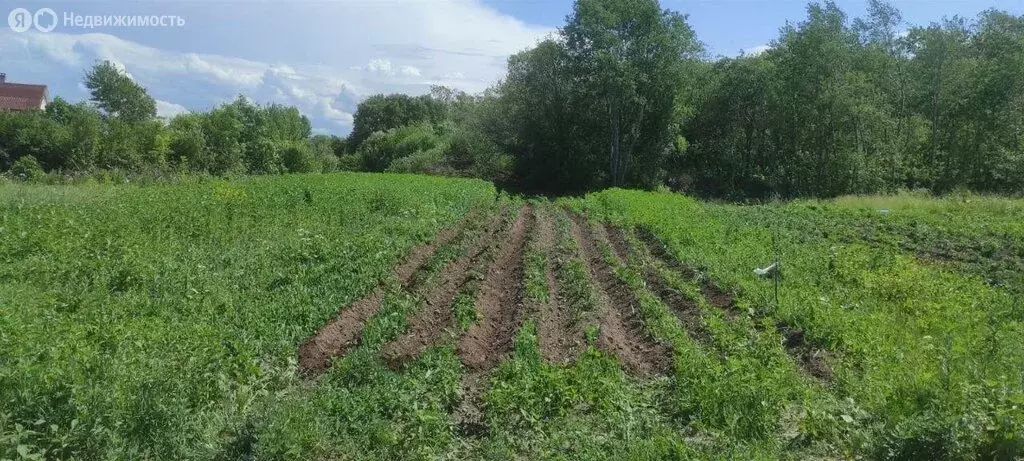 Участок в деревня Оржицы, ТСН Флора-2 (10 м) - Фото 2