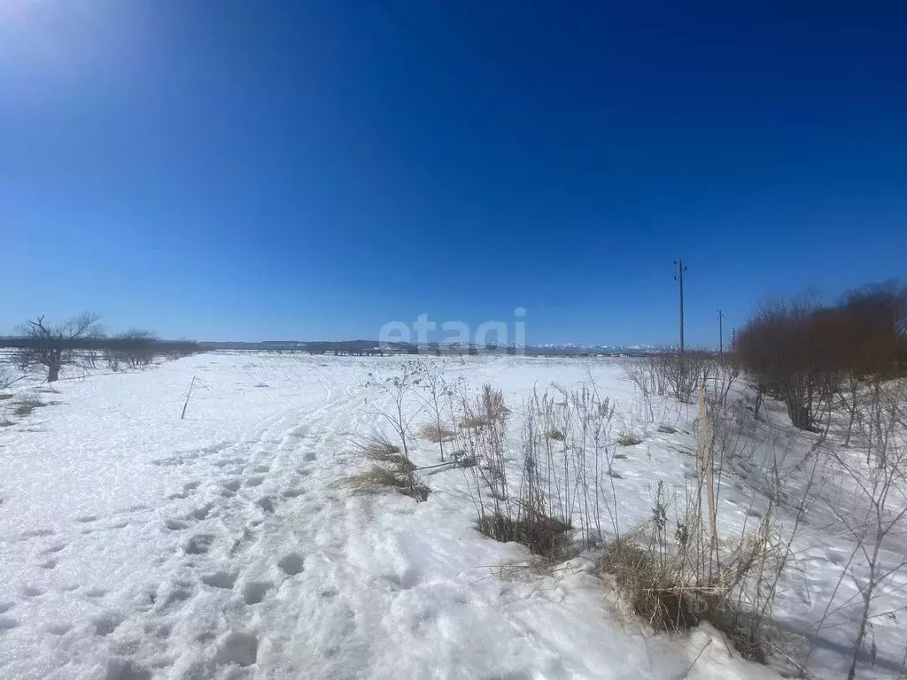 Участок в Сахалинская область, Анивский городской округ, с. ... - Фото 0