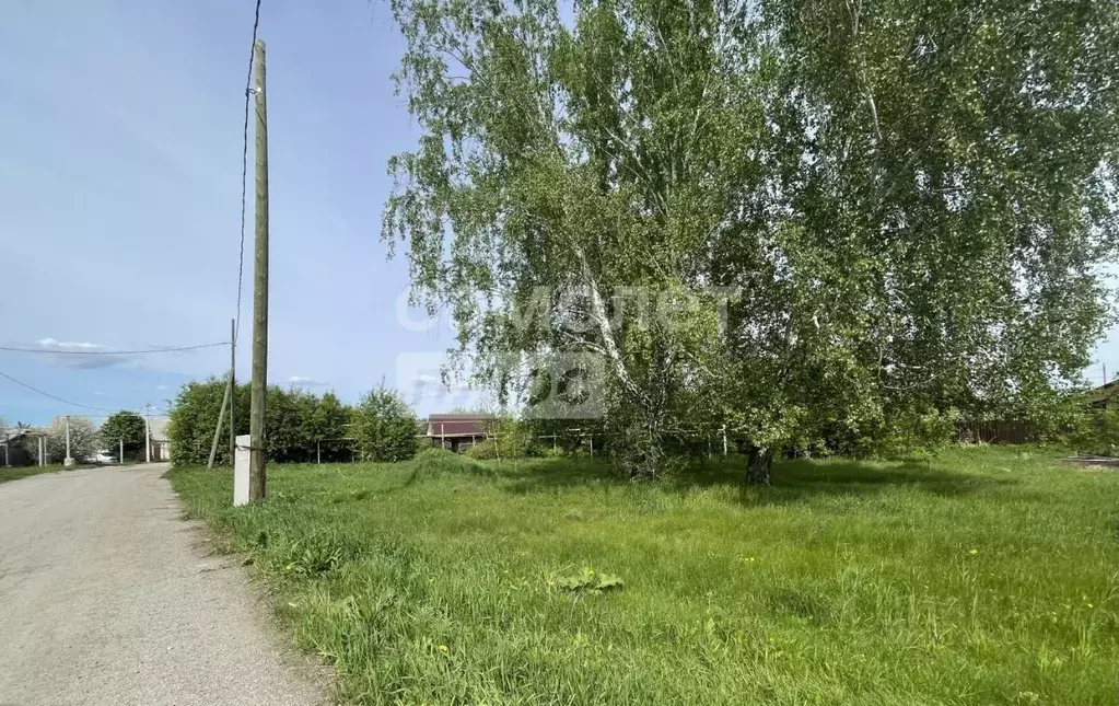 Участок в Челябинская область, Сосновский район, с. Вознесенка Зеленая ... - Фото 0