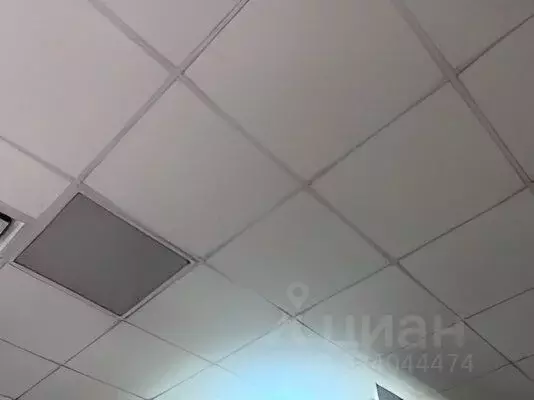 Помещение свободного назначения в Омская область, Омск ул. Герцена, 69 ... - Фото 1