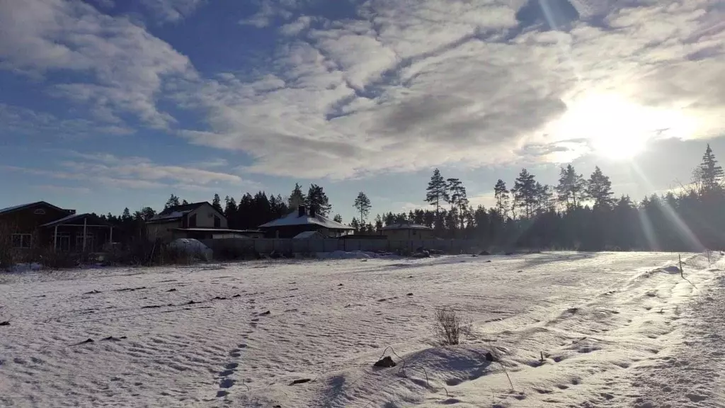 Участок в Московская область, Балашиха городской округ, д. Полтево  ... - Фото 1