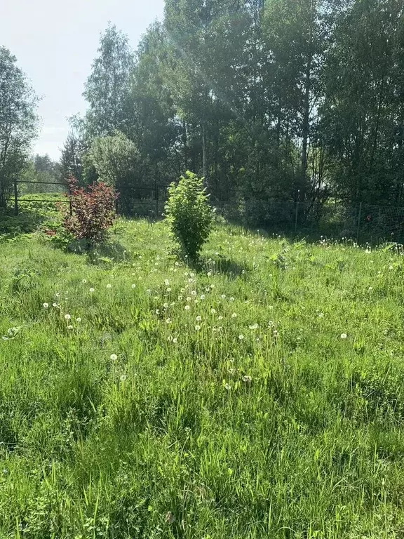 Участок 7,4 сот. (СНТ, ДНП) - Фото 1
