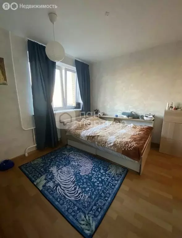 Квартира-студия: посёлок Парголово, Толубеевский проезд, 24 (23 м) - Фото 1