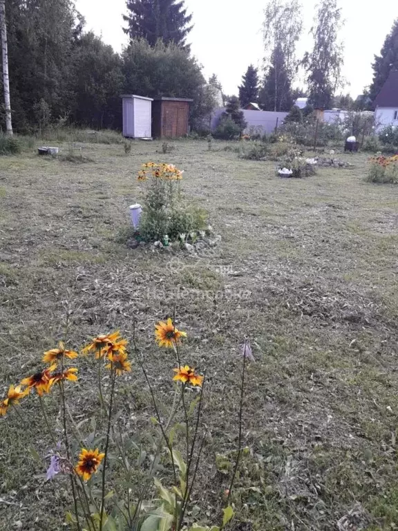 Участок в Московская область, Талдомский городской округ, д. Бурцево  ... - Фото 0