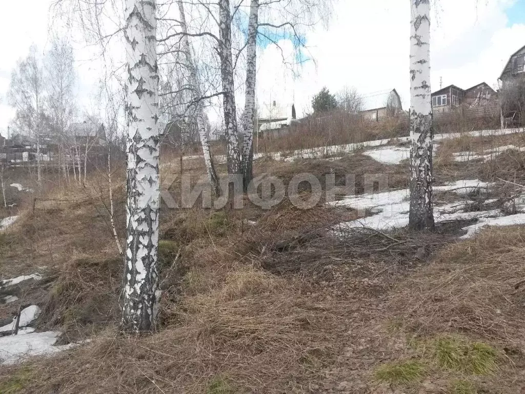 Участок в Новосибирская область, Новосибирский район, Раздольненский ... - Фото 1