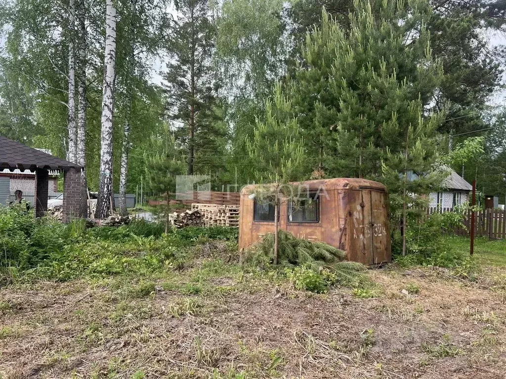 Участок в Новосибирская область, Искитимский район, Морозовский ... - Фото 1