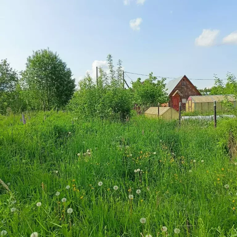 Участок в Вологодская область, д. Родионцево ул. Васильковая, 5 (6.6 ... - Фото 2