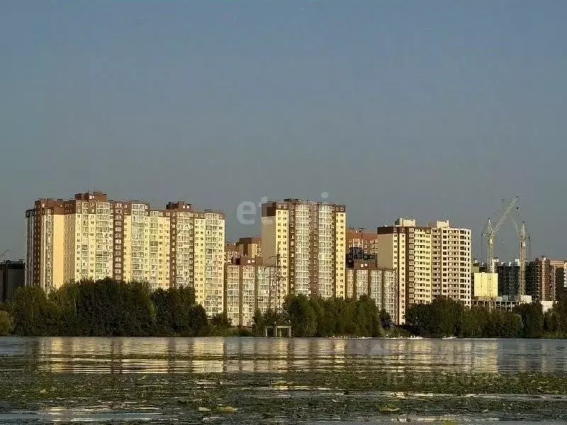 1-к кв. Воронежская область, Воронеж ул. Артамонова, 34Ж (42.5 м) - Фото 1