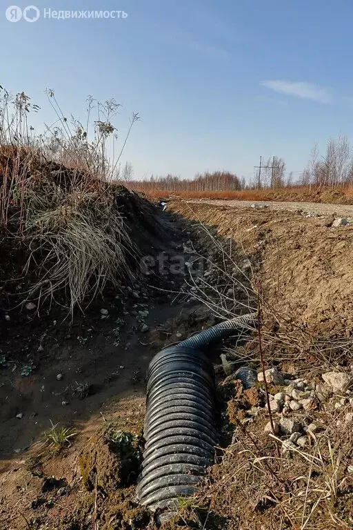 Участок в Калининградская область, Гурьевский муниципальный округ, ... - Фото 2