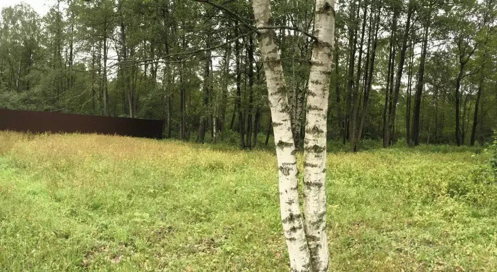 Участок в Владимирская область, Покров городской округ, пос. Городищи ... - Фото 2