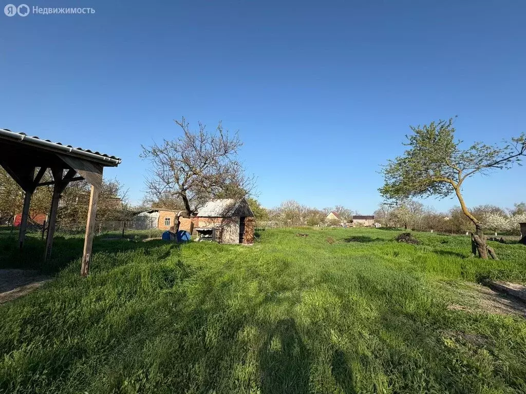 Участок в Новощербиновская, улица Пушкина (16 м) - Фото 1