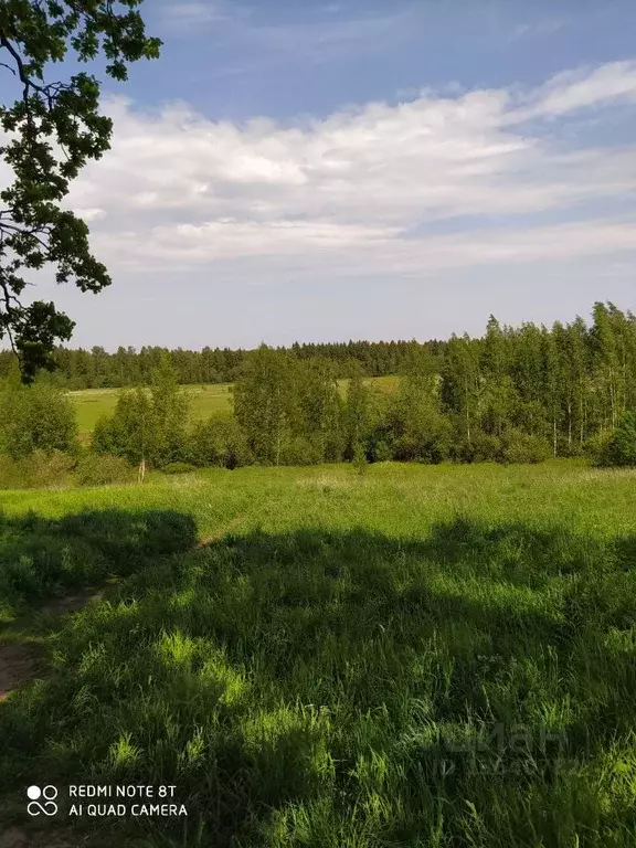 Дом в Ленинградская область, Всеволожский район, Рахья рп  (20 м) - Фото 0