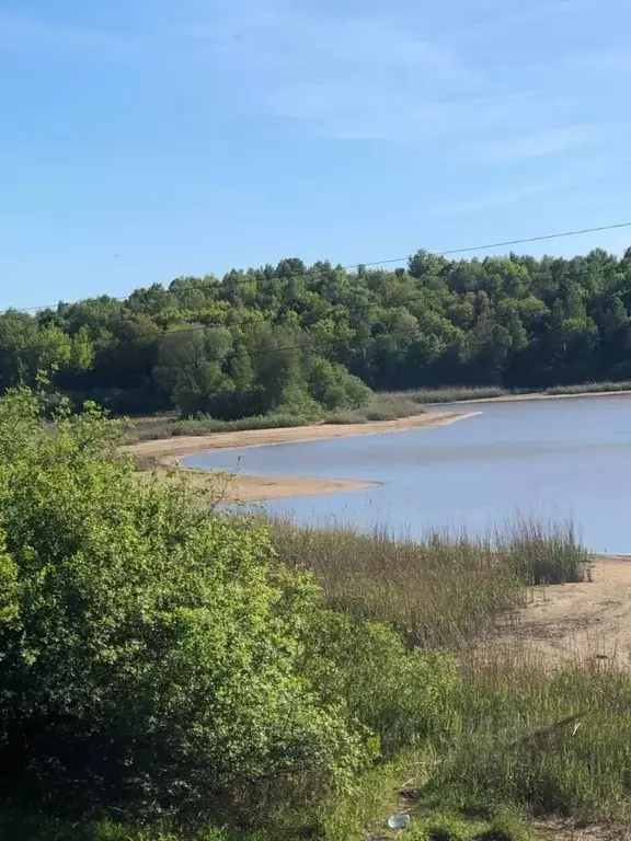 Участок в Калининградская область, Зеленоградский муниципальный округ, ... - Фото 1