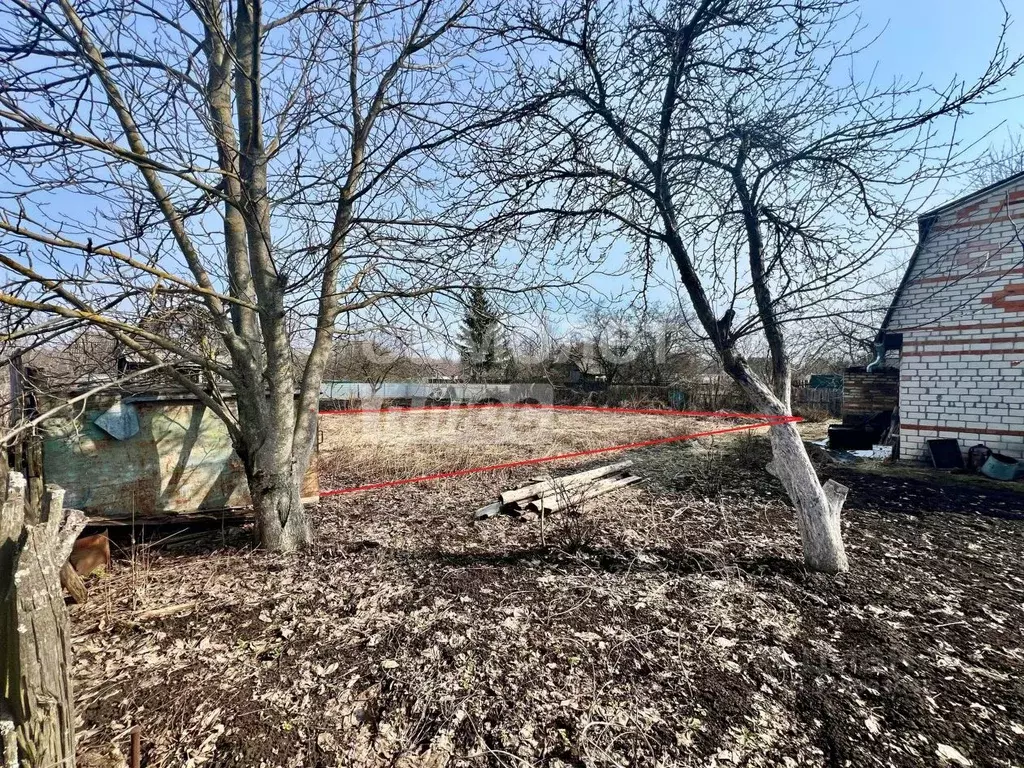 Участок в Брянская область, Брянский район, Снежское с/пос, с. ... - Фото 1