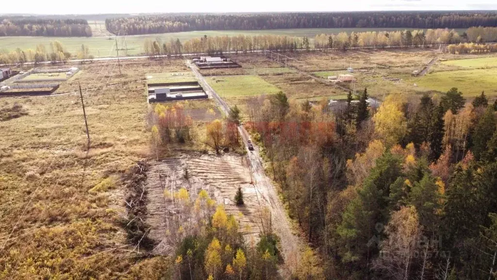 Участок в Московская область, Богородский городской округ, д. Черново ... - Фото 2