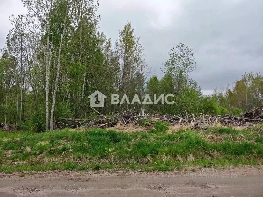 Участок в Ленинградская область, Всеволожский район, Рахьинское ... - Фото 2