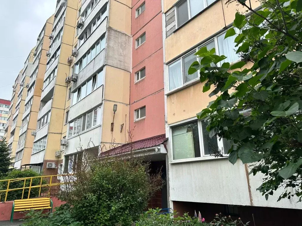 Студия Приморский край, Владивосток Русская ул., 57М (24.0 м) - Фото 1