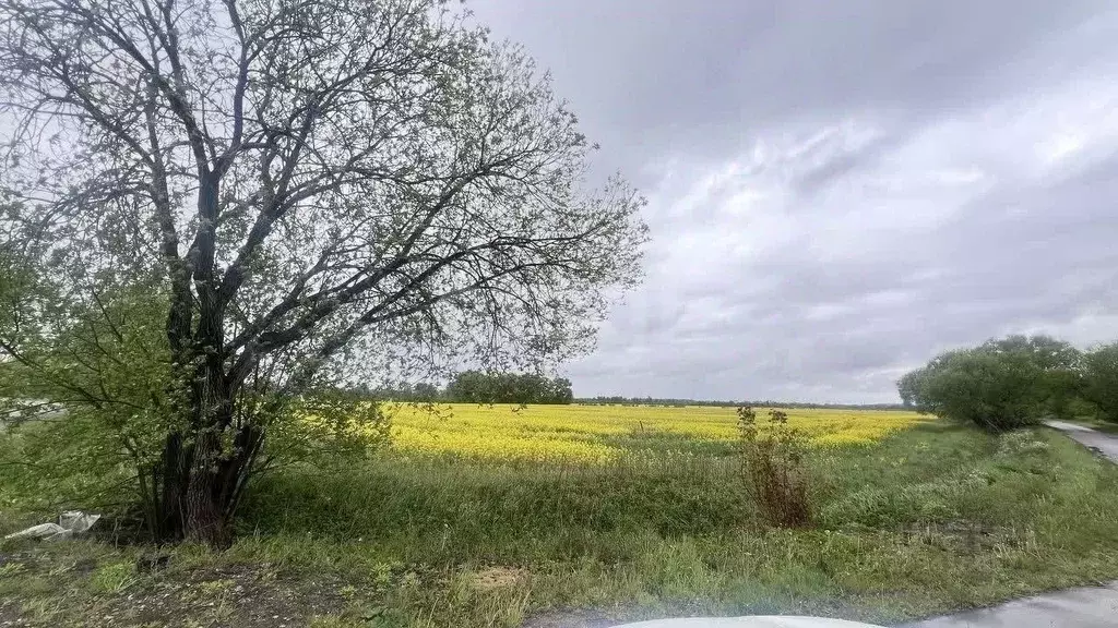 Участок в Калининградская область, Гурьевск  (7.3 сот.) - Фото 1