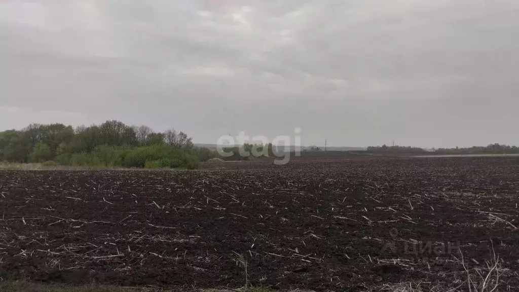 Участок в Белгородская область, Белгородский район, Дубовское с/пос, ... - Фото 1