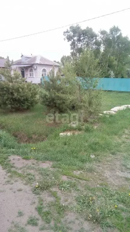 Участок в Амурская область, Тамбовский муниципальный округ, с. ... - Фото 1