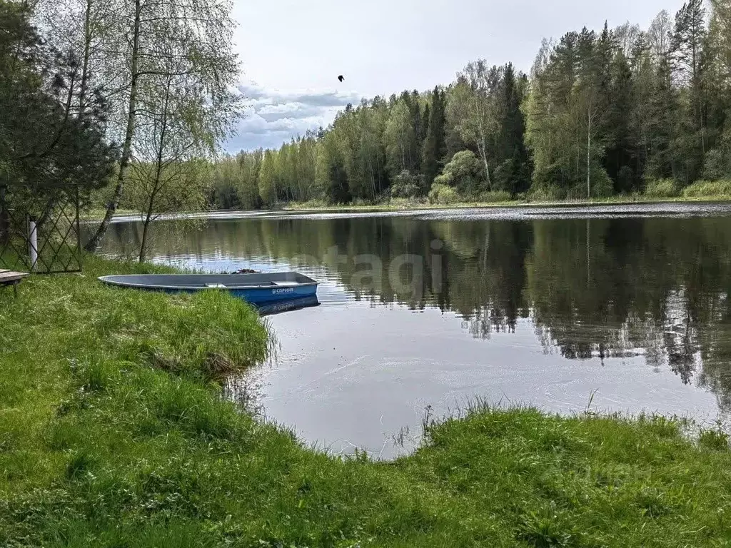 Участок в Ярославская область, Угличский муниципальный округ, д. ... - Фото 1