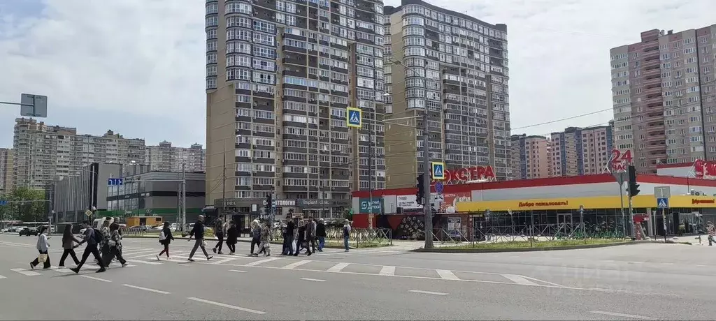 Помещение свободного назначения в Краснодарский край, Краснодар ул. ... - Фото 1