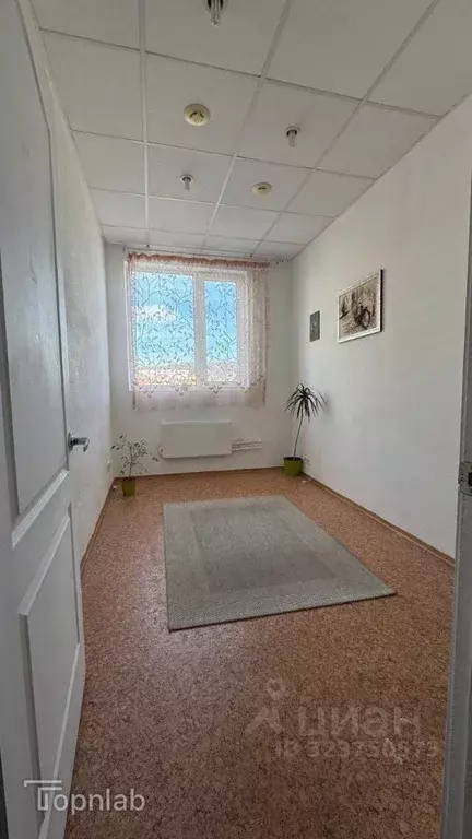 Офис в Саратовская область, Саратов Комсомольская ул., 52 (27 м) - Фото 2