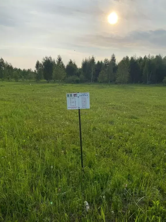 Участок в Московская область, Раменский муниципальный округ, с. ... - Фото 1