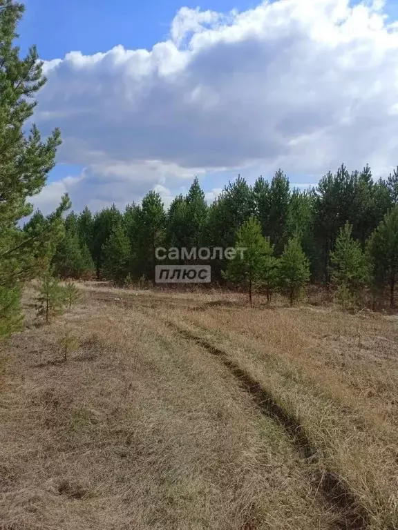 Участок в Иркутская область, Боханский район, Александровское ... - Фото 0