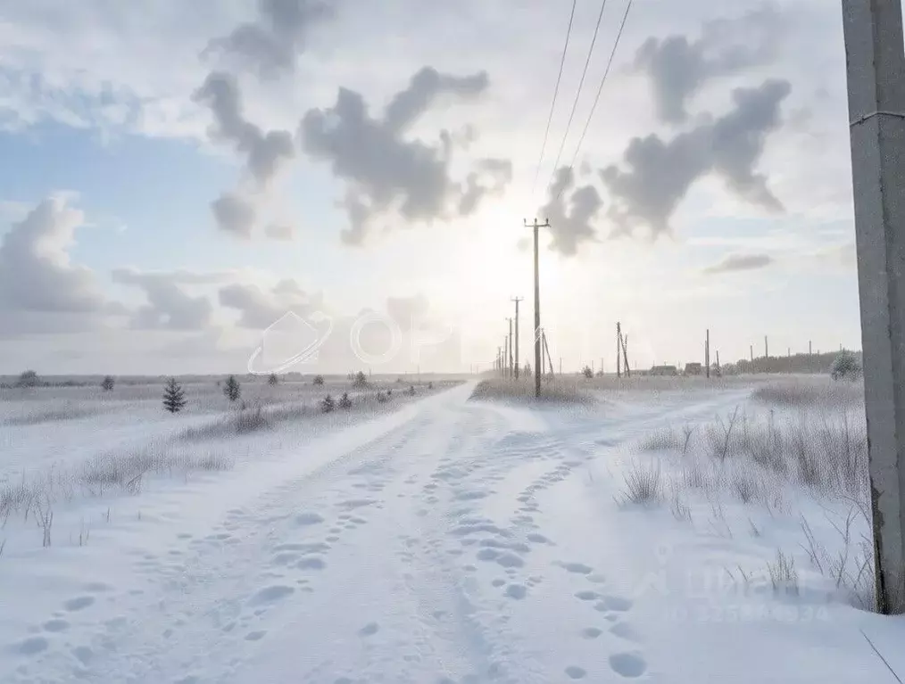 Участок в Тюменская область, Тюменский муниципальный округ, д. Елань ... - Фото 2