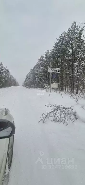 Участок в Иркутская область, Иркутский муниципальный округ, д. ... - Фото 2