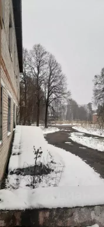 Помещение свободного назначения в Московская область, Можайский ... - Фото 1