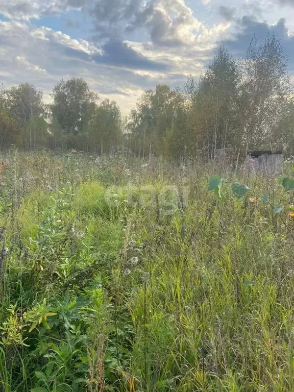 Участок в Томская область, Томск Теплотехник садовое товарищество,  ... - Фото 0