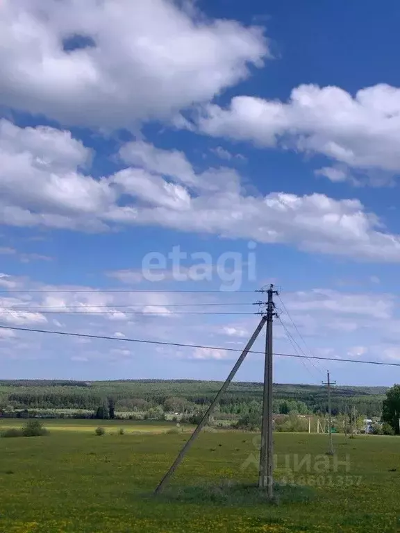 Участок в Башкортостан, Иглинский район, с. Ивано-Казанка  (500.0 ... - Фото 2