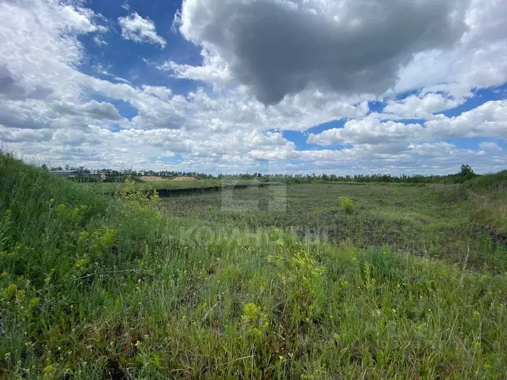 участок в воронежская область, с. новая усмань (135.0 сот.) - Фото 1