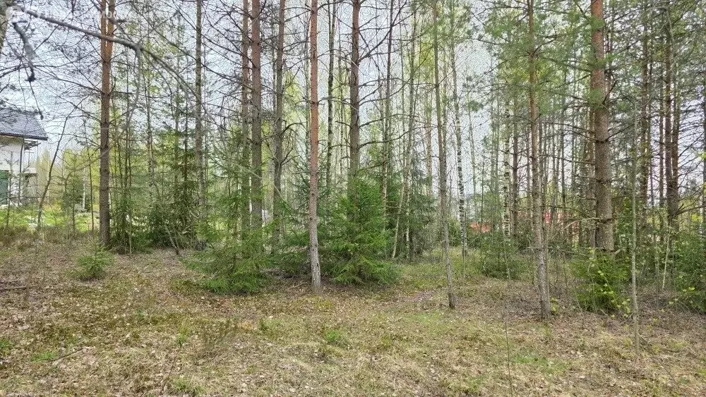 Участок в деревня Касимово, улица Раевского, 4 (10 м) - Фото 2