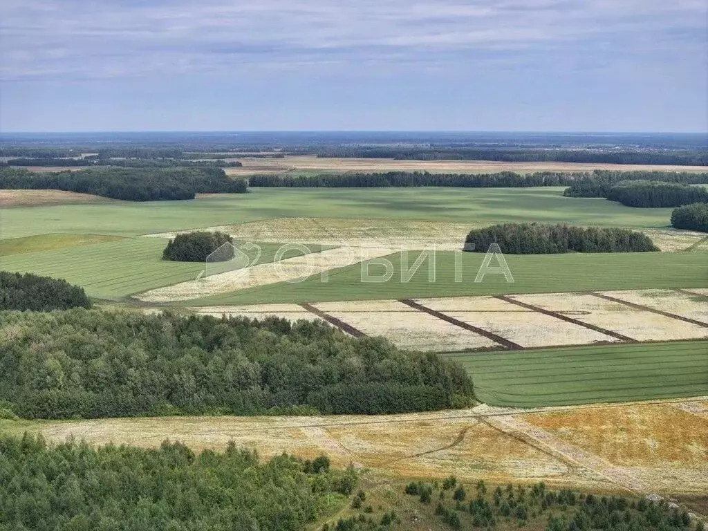 Участок в Тюменская область, Тюменский муниципальный округ, с. ... - Фото 0