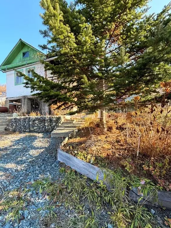 Дом в Приморский край, Находка Строитель СНТ, ул. Ветреная, 8 (30 м) - Фото 1